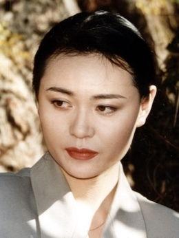 王虹演员,光影交织下的璀璨星途