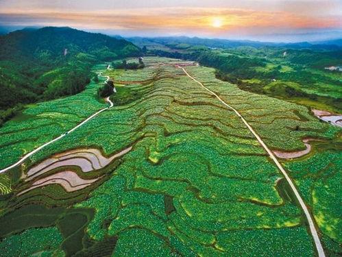 建宁八卦莲池,千年古韵与现代魅力的交融之地